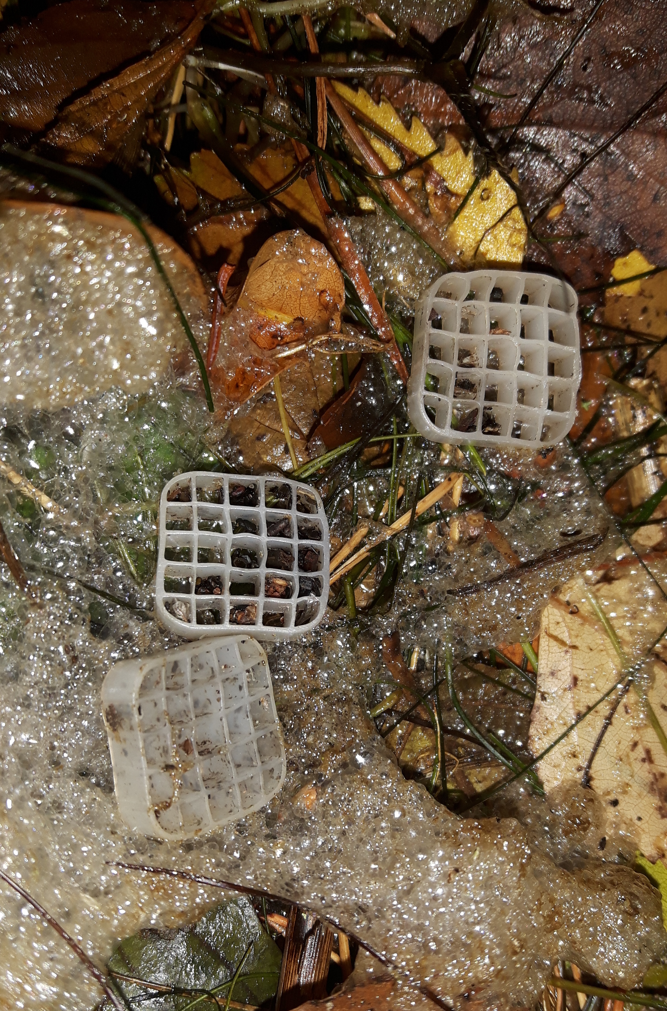 Biofilmbærere i strandkanten